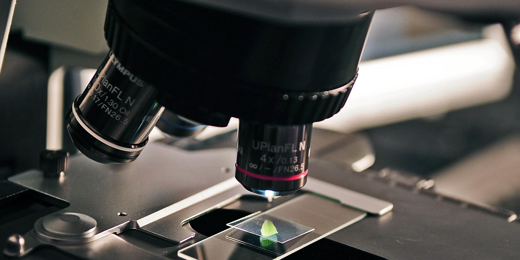 microscope in a science lab