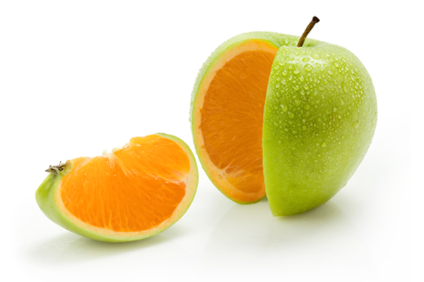 graphic of a green apple with orange segments inside