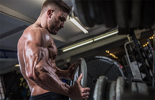 ryan terry workout and diet