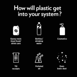 MNPs exposure and sex-dependent neurotoxic effects