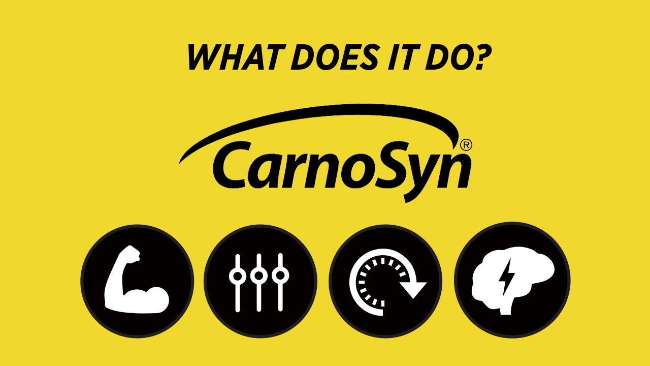 carnosyn beta-alanine