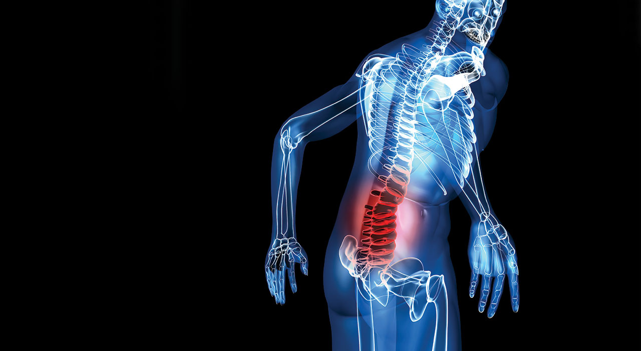 animated picture of skeleton with red lower back