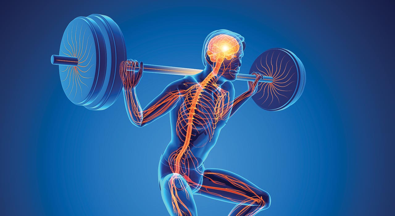 animation of a man performing a squat with his brain luminating orange