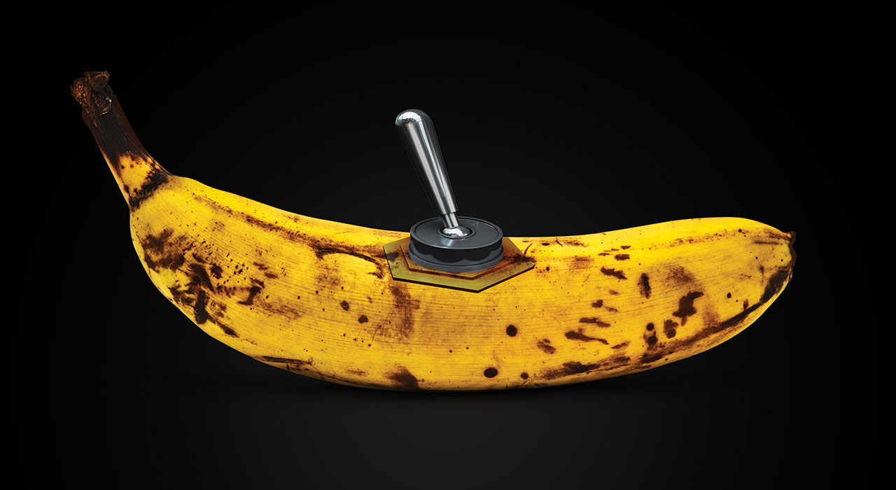 banana with a switch in the middle of it