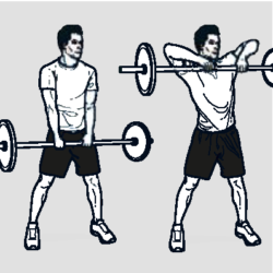 pull or row exercise
