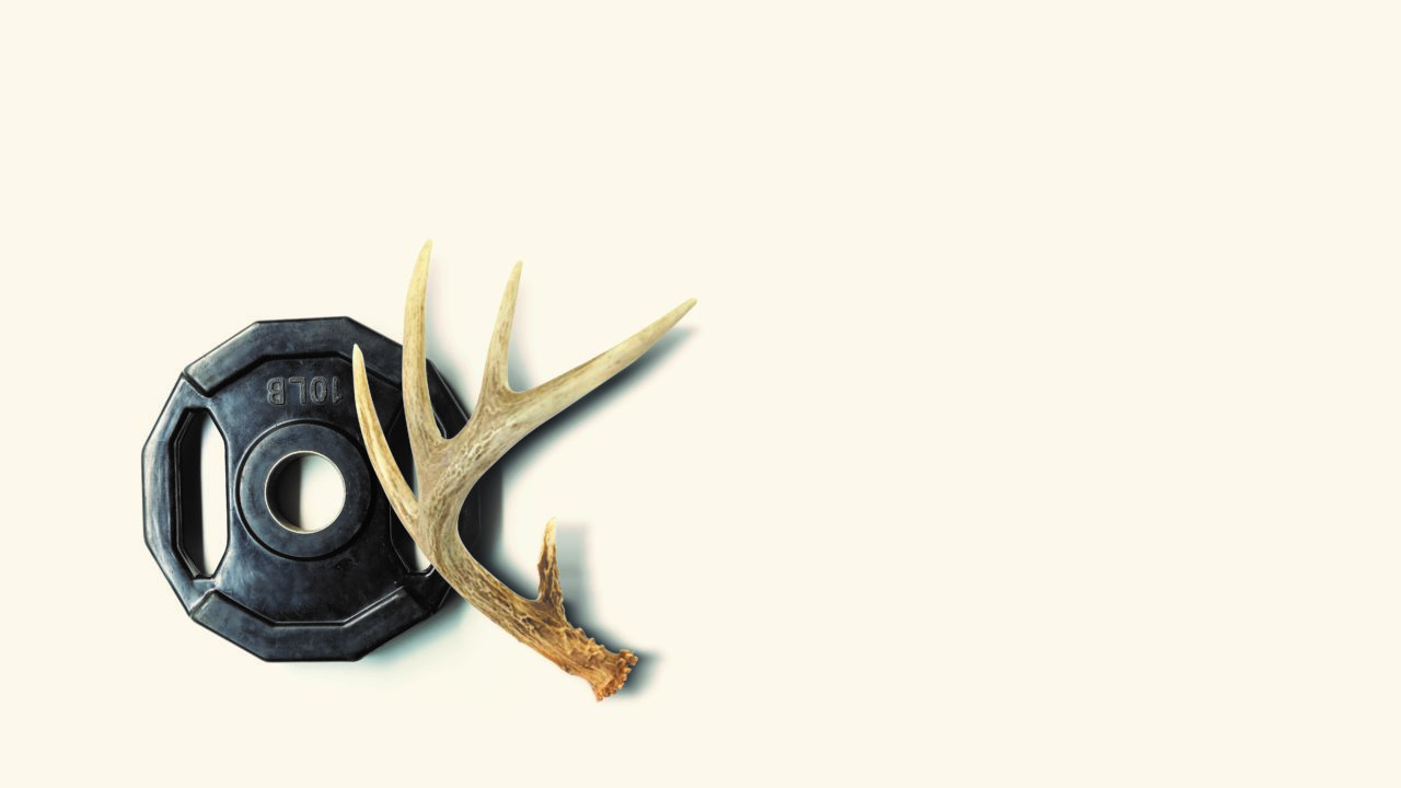 Deer antler on top of a gym weight with a cream background