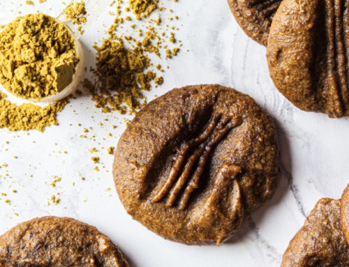 4 Reason You Should Add Protein Cookies To Your Diet
